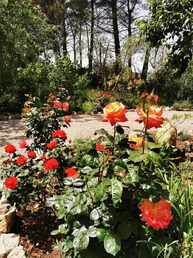 La Maison Du Soleil Provence Draguignan Bagian luar foto