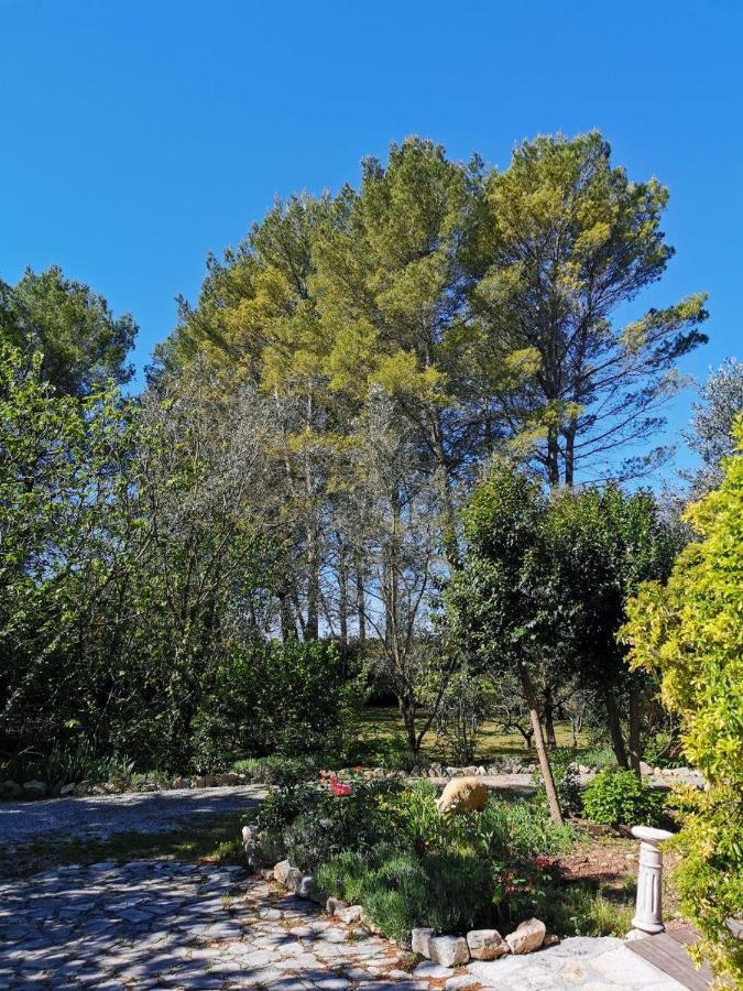 La Maison Du Soleil Provence Draguignan Bagian luar foto
